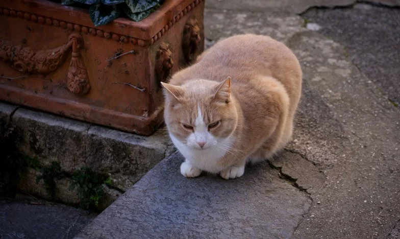 "Powiedziałam jej, że gdyby miała sumienie, chociaż raz pozmywałaby naczynia": Historia matki, która została sama i usłyszała od syna, że niszczy jego rodzinę