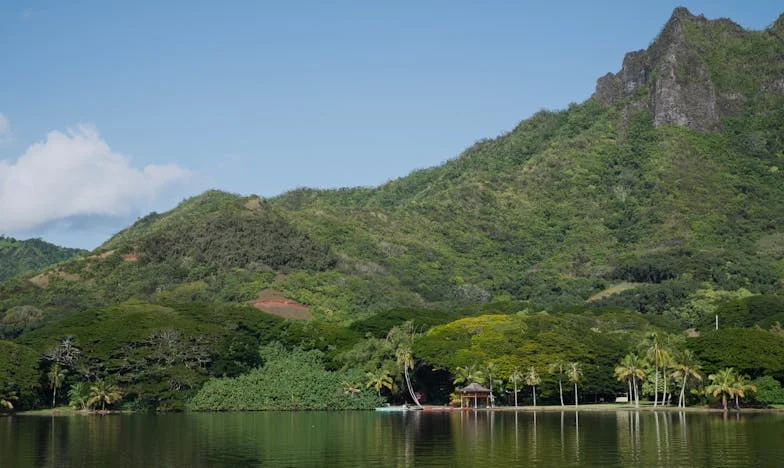 Rozwód? Zostanę z tatą – Dziennik osobisty Pawła