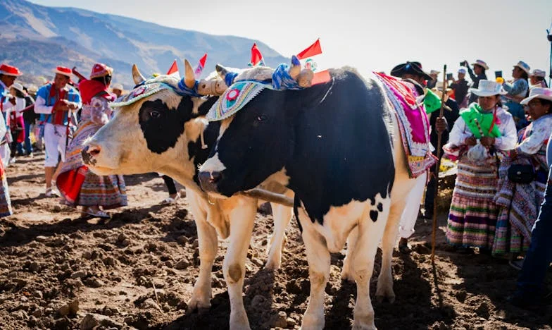 Sobota, kiedy wreszcie przemówiłam: Moja walka o własny głos w cieniu rodziny