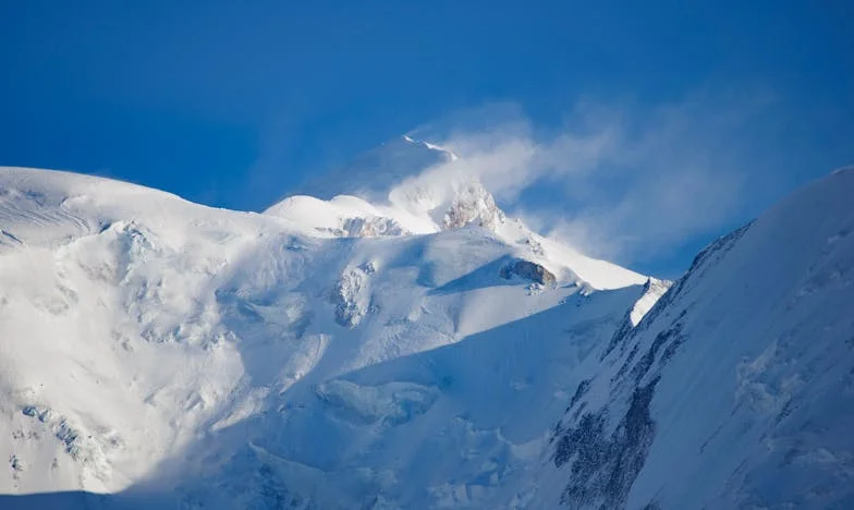 Wózek, który podzielił rodzinę: Historia o lojalności i własnych granicach