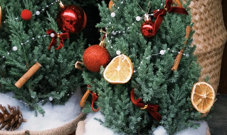 Zbudować swoje szczęście – historia Kingi