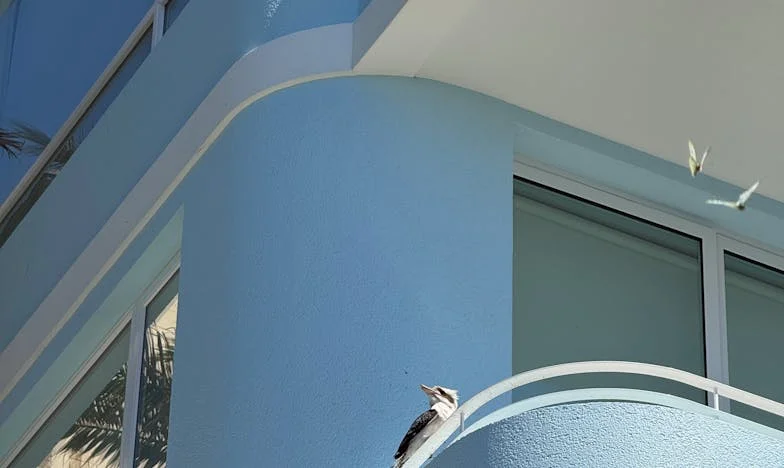 Zdrada, pogrzeb i pamięć USB: Jak odkryłam prawdę o mężu w najczarniejszym dniu mojego życia