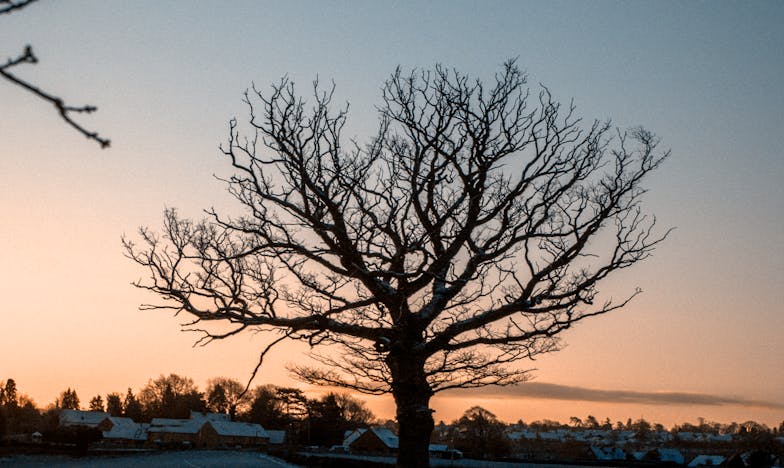 Czy miałam prawo wyrzucić teściową z domu po tym, co zrobiła pod naszą nieobecność? Moja rodzina, nasze marzenia i zdrada, której się nie spodziewałam