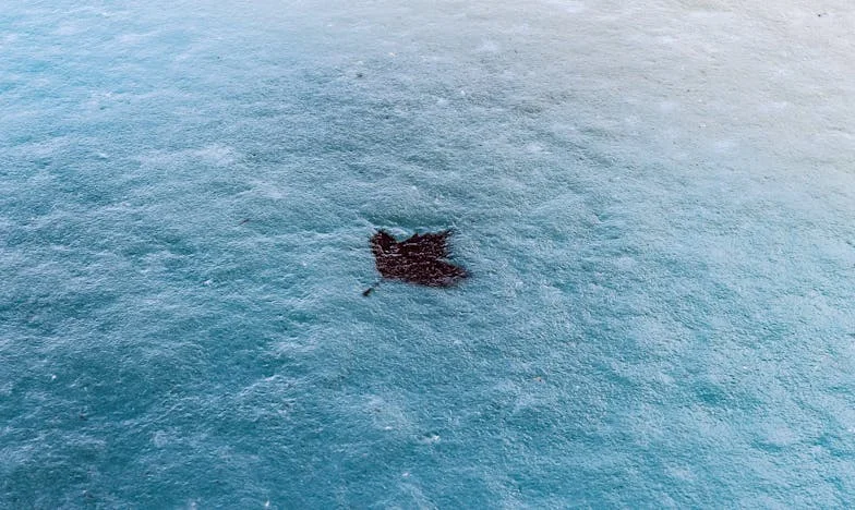 Dom zamiast rodziny: Jak jedno kłamstwo rozbiło moje życie na kawałki