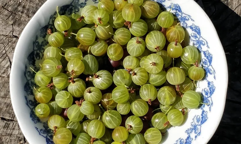 Gdy miłość zamienia się w ciszę: Historia babci z Krakowa, której odebrano wnuki