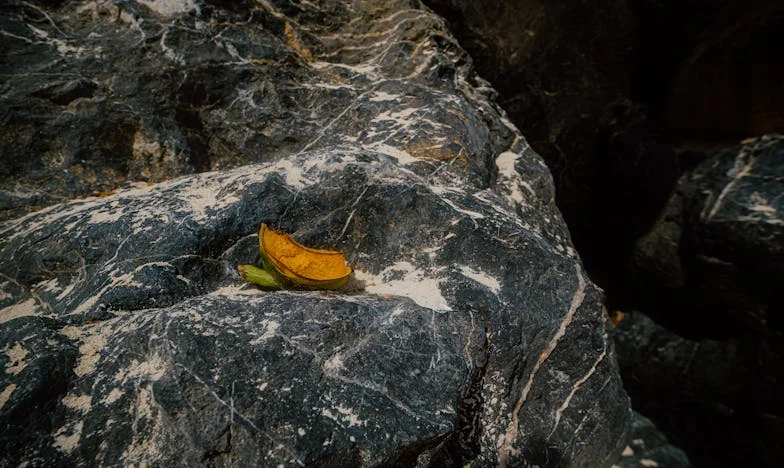 Gdy odebrałam telefon przyjaciółki i usłyszałam głos męża… Moja rodzina już nigdy nie będzie taka sama