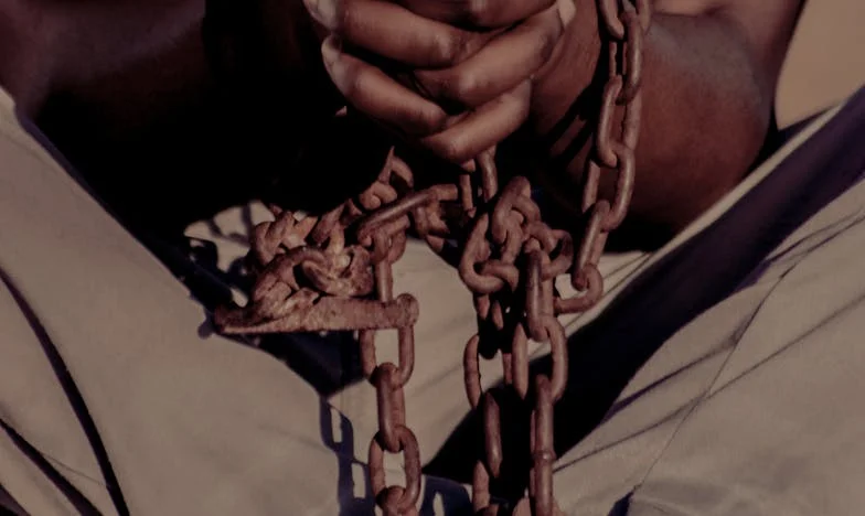 Nada – mały cud w cieniu żałoby: Jak szczeniak odmienił moją rodzinę