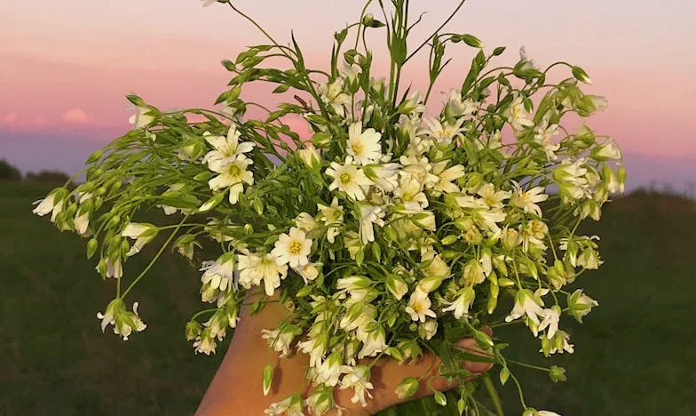 „Nie jestem twoją służącą!” — Jak po dwudziestu latach małżeństwa zgubiłam siebie i odnalazłam na nowo