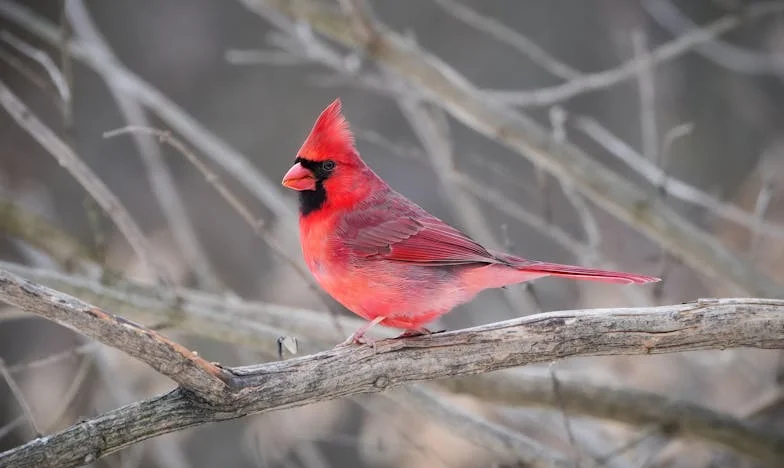 "Nie teraz, kochanie, rozmawiamy o poważnych sprawach": Moje życie w cieniu własnej rodziny