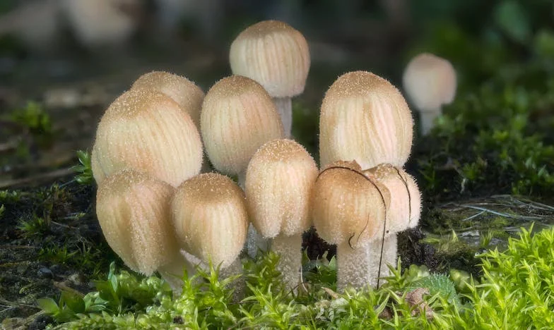 Powrót z delegacji i słowa, które zmieniły wszystko: Jak babcina mądrość uratowała mój związek