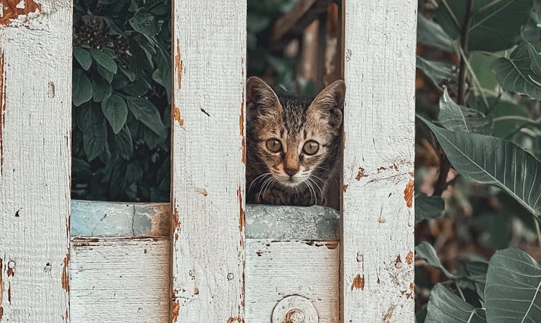 Święta pod Szklanym Sufitem: Mój Boj o Równość w Patchworkowej Rodzinie