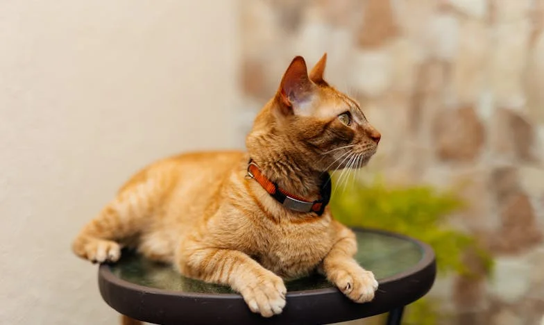 Lekcje po utraconej miłości: Moje refleksje o szacunku i granicach