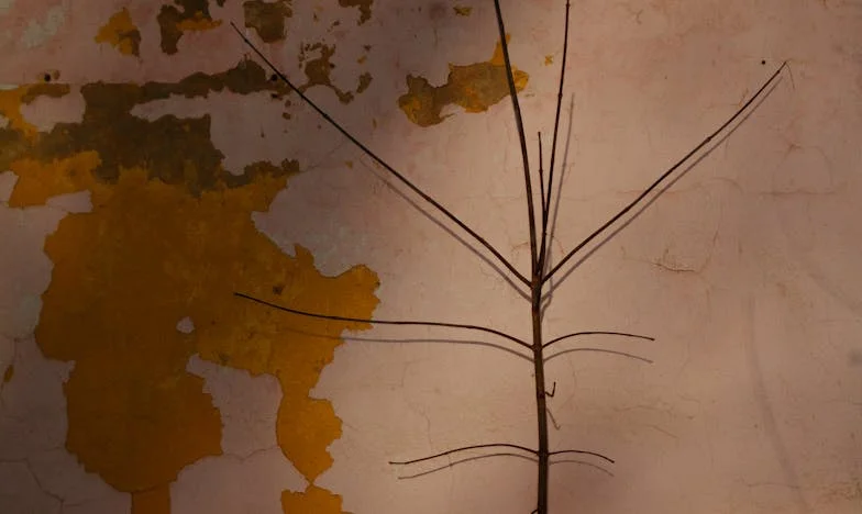 Rok ciszy i jedno „przepraszam” – historia zniknięcia Pawła