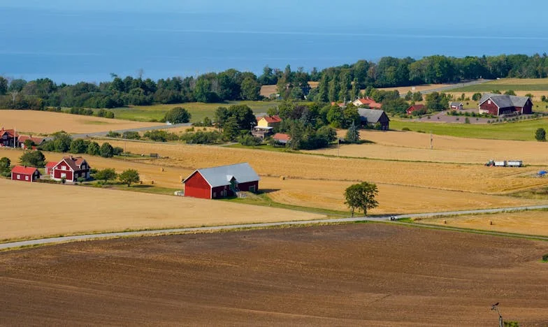 Strach o Przyszłość Mojego Syna: Spadek, Rodzina i Ciężar Jednej Decyzji