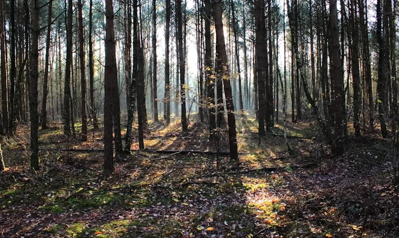Zdrada, zemsta i siła kobiety: Moja droga od upokorzenia do triumfu