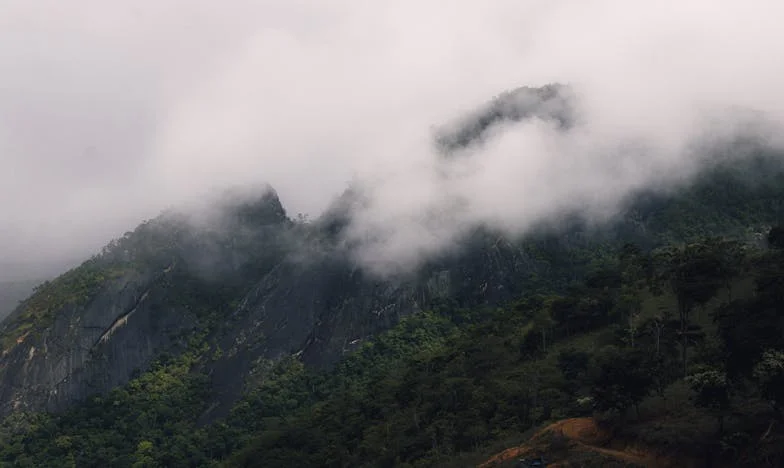Kiedy brat staje się obcy: Historia zdrady i rodzinnych ran