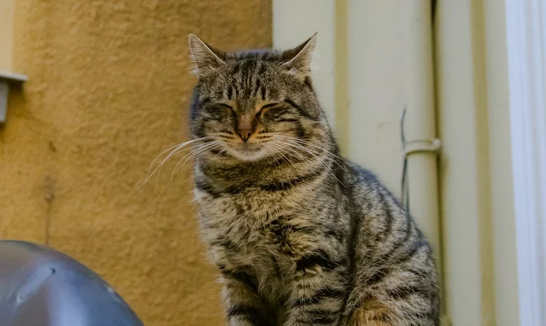 Kiedy mój przyrodni brat pojawił się pół roku po pogrzebie – i odebrał mi wszystko