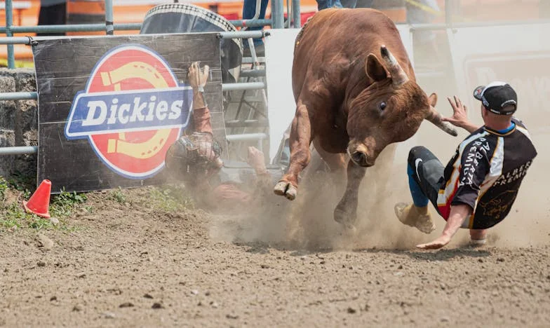 Moje dzieci zeszły do piwnicy – dramat rodzinny w cieniu faworyzowania wnuka