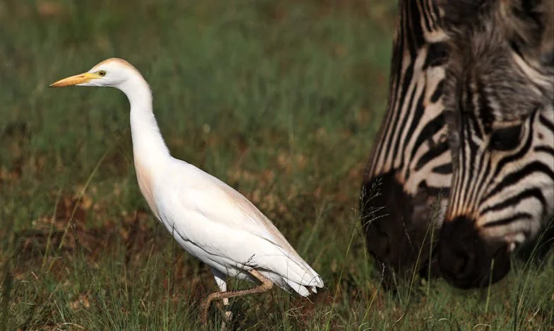 Nowe życie w Gdańsku: Jak nauczyłam się mówić „nie” własnej rodzinie