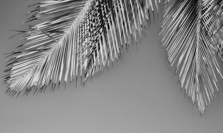 Obcy wśród własnej rodziny: jak pies z rowu zmusił mnie do decyzji, których nie da się cofnąć