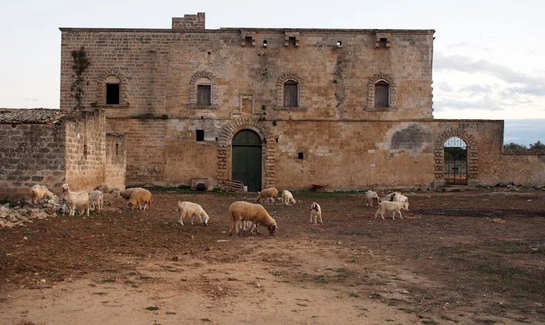 „Spakuj się i wracaj do domu: Znajdź sobie żonę, która używa zwykłego mydła” – Historia Marty