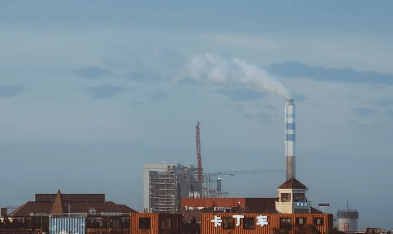 Odkrycie: Serce Matki w Rozterce – Historia Ellie