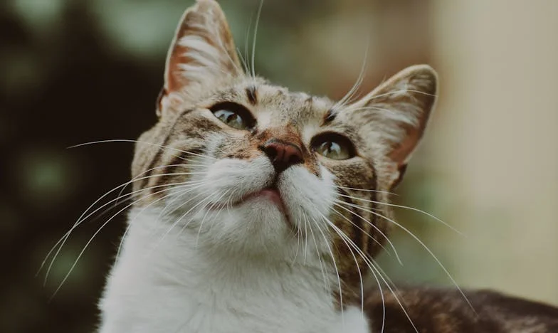 Posljednja Nova godina: Kraj našeg braka nakon 35 godina