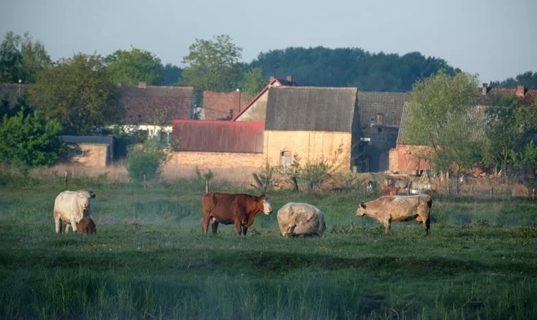 Dvostruki život moga muža: Istina koja je razbila naš dom