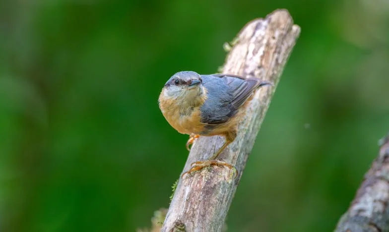 Gorka istina iza majčine bolesti: Priča o povjerenju, izdaji i oprostu