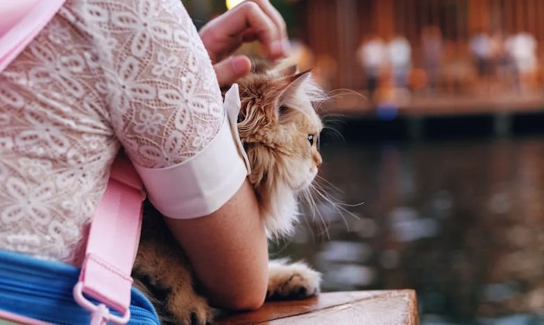 Haljina iz snova i suze pod svjetlima: Moja noć koja je trebala biti posebna