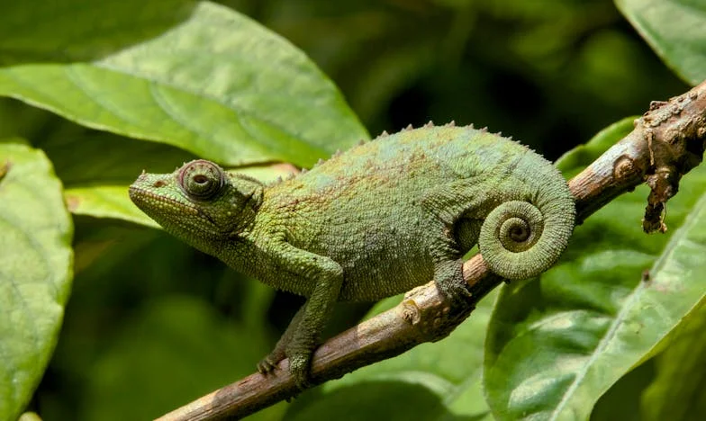 Ispovijest učiteljice: Djeca nisu anđeli, a roditelji ne žele čuti istinu