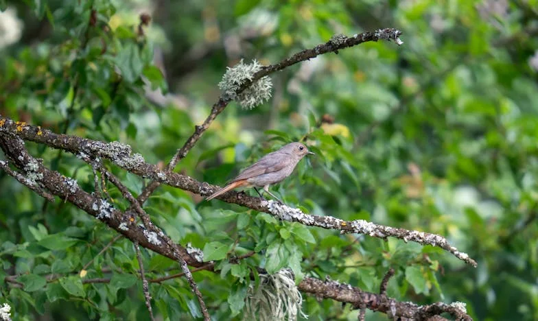 Iz bolnice s troje: Priča o neočekivanoj sreći i borbi