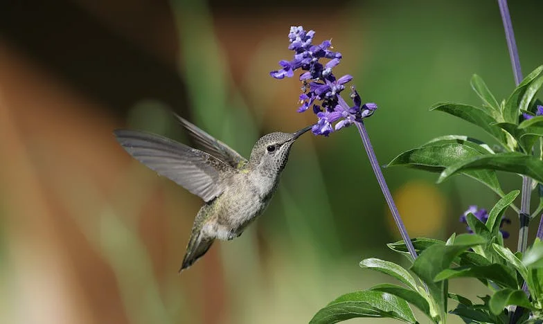 Između Doma i Doma: Priča o Odluci Koja Razdire Srce