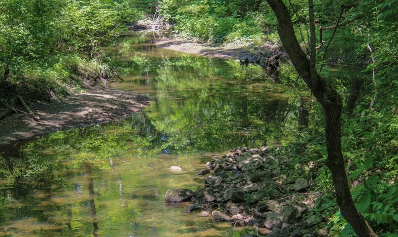 Između Dviju Ljubavi: Priča o Snahi, Svekrvi i Izgubljenoj Obitelji