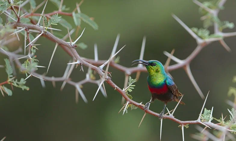 Kad djeca zaborave majku: Priča o izgubljenoj ljubavi i dostojanstvu