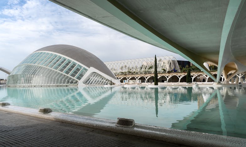 Kad je gnijezdo ostalo prazno: Priča o gubitku, samoći i hrabrosti