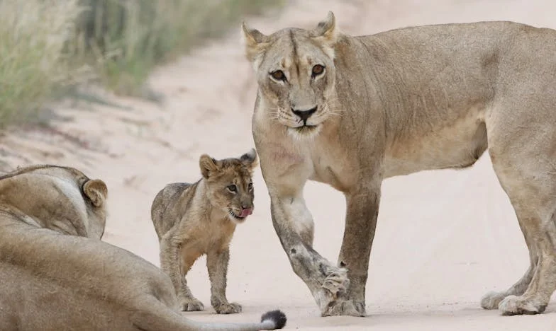 Kad Sam Saznala Da Moje Dijete Nije Moje: Priča o Izgubljenoj i Pronađenoj Ljubavi