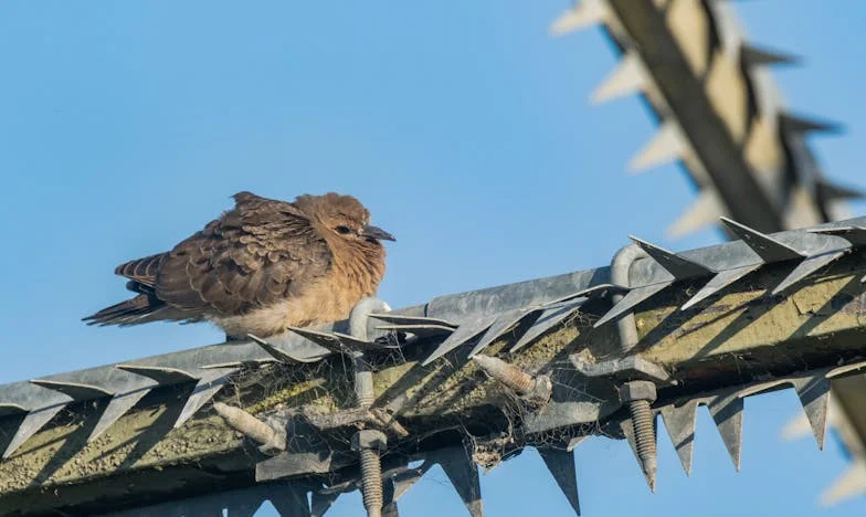 Kad sam zamolila djecu da posjete baku: Lekcija o porodici i oprostu
