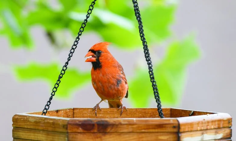 Kad srce daje, a ruke ostanu prazne: Priča jedne majke iz Zagreba