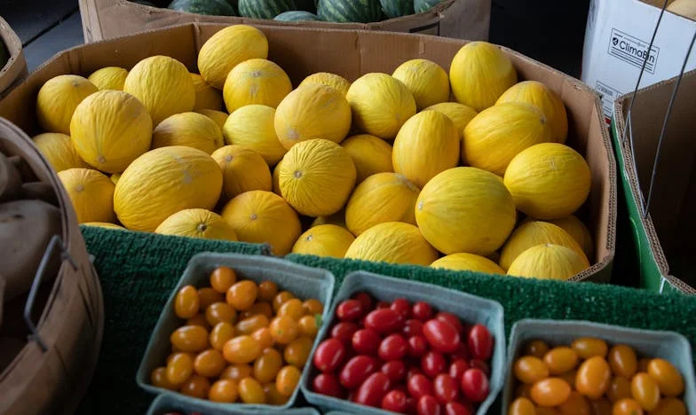 Kad Sudbina Okrene Leđa: Rasuti Snovi Lejle i Tarika