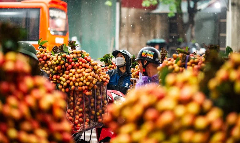 Koliko djece želim: Moja sestra, naša svađa i tišina koja je ostala