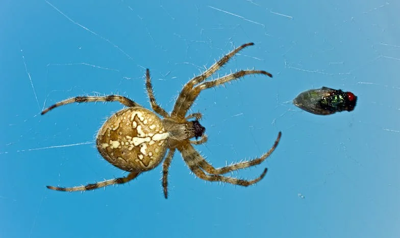 Kuća na tuđe ime: Borba za pravdu u vlastitoj obitelji