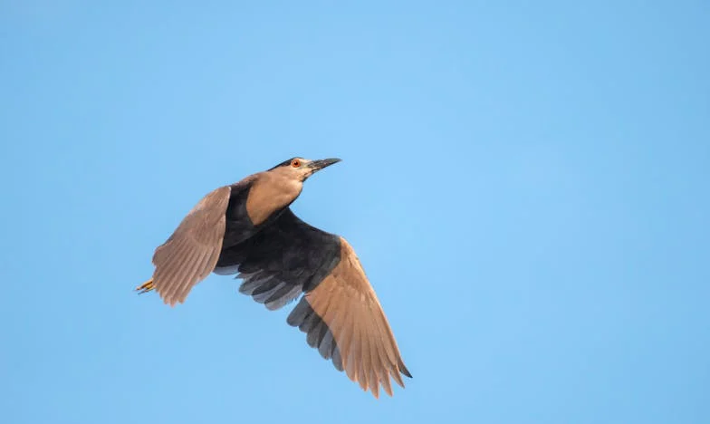 Majčina pad: Noć kada sam shvatila koliko sam sama