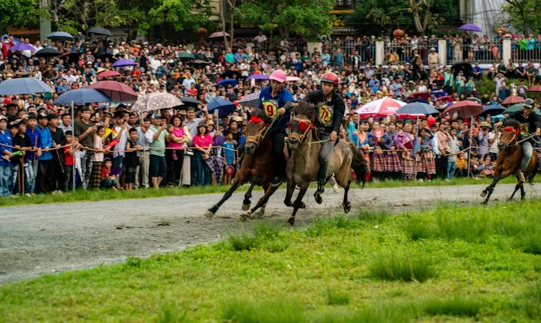 Majčina Sjena: Borba za Vlastiti Život