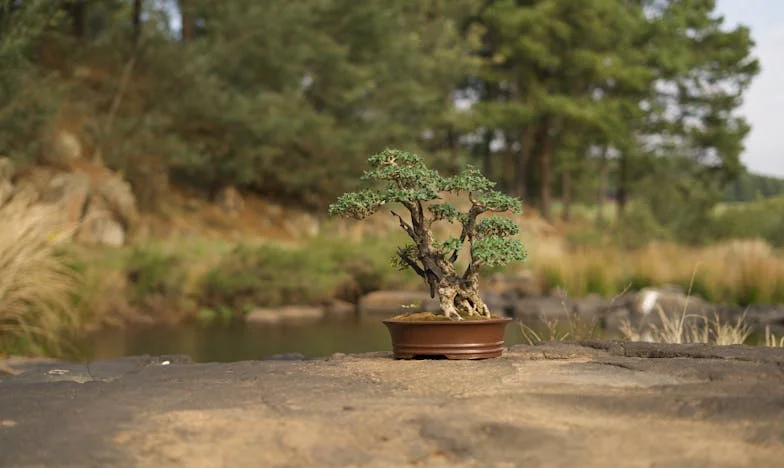 Nakon šezdesete: Ljubav koja je promijenila sve