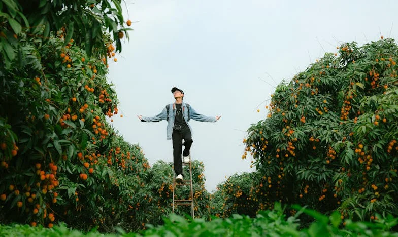 Naslijeđe pod teretom: Lejlin put između ljubavi i odgovornosti