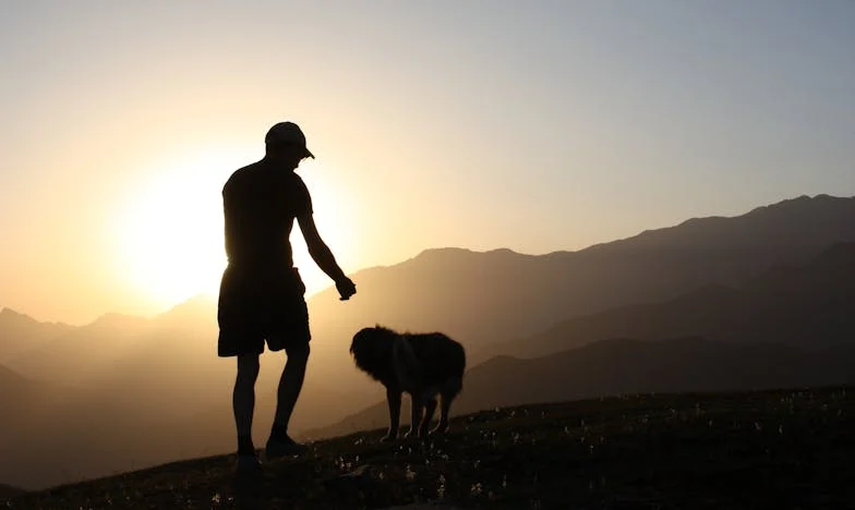 Ostavio sam ženu zbog druge: Sada molim za oprost, ali ona ne želi ni čuti