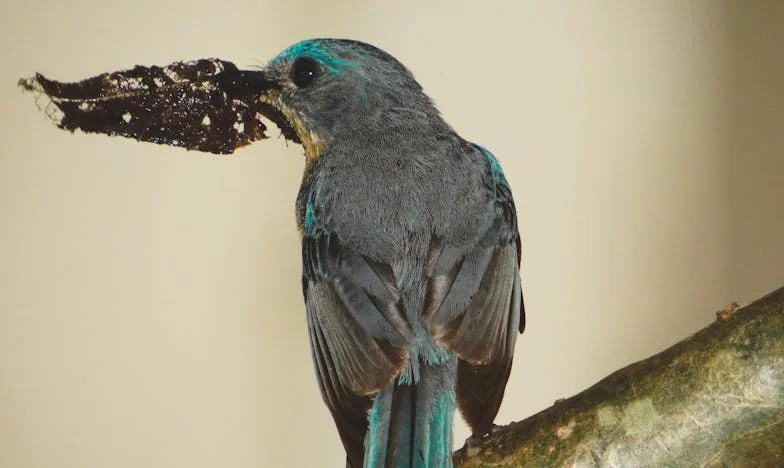 Pisma iz tame: Istina o ocu kojeg sam prezirala