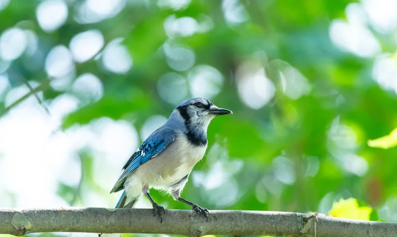 Podijeljeni frižider: Bitka za prostor i dostojanstvo pod istim krovom