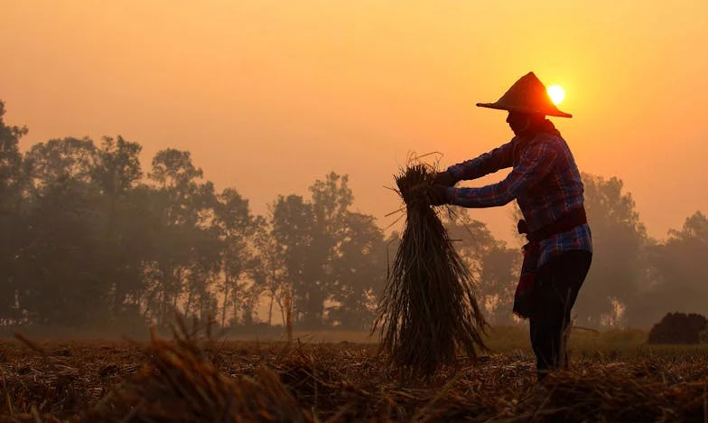 Povratak kući s čovjekom kojeg volim: Zašto moj sin nije bio sretan zbog toga
